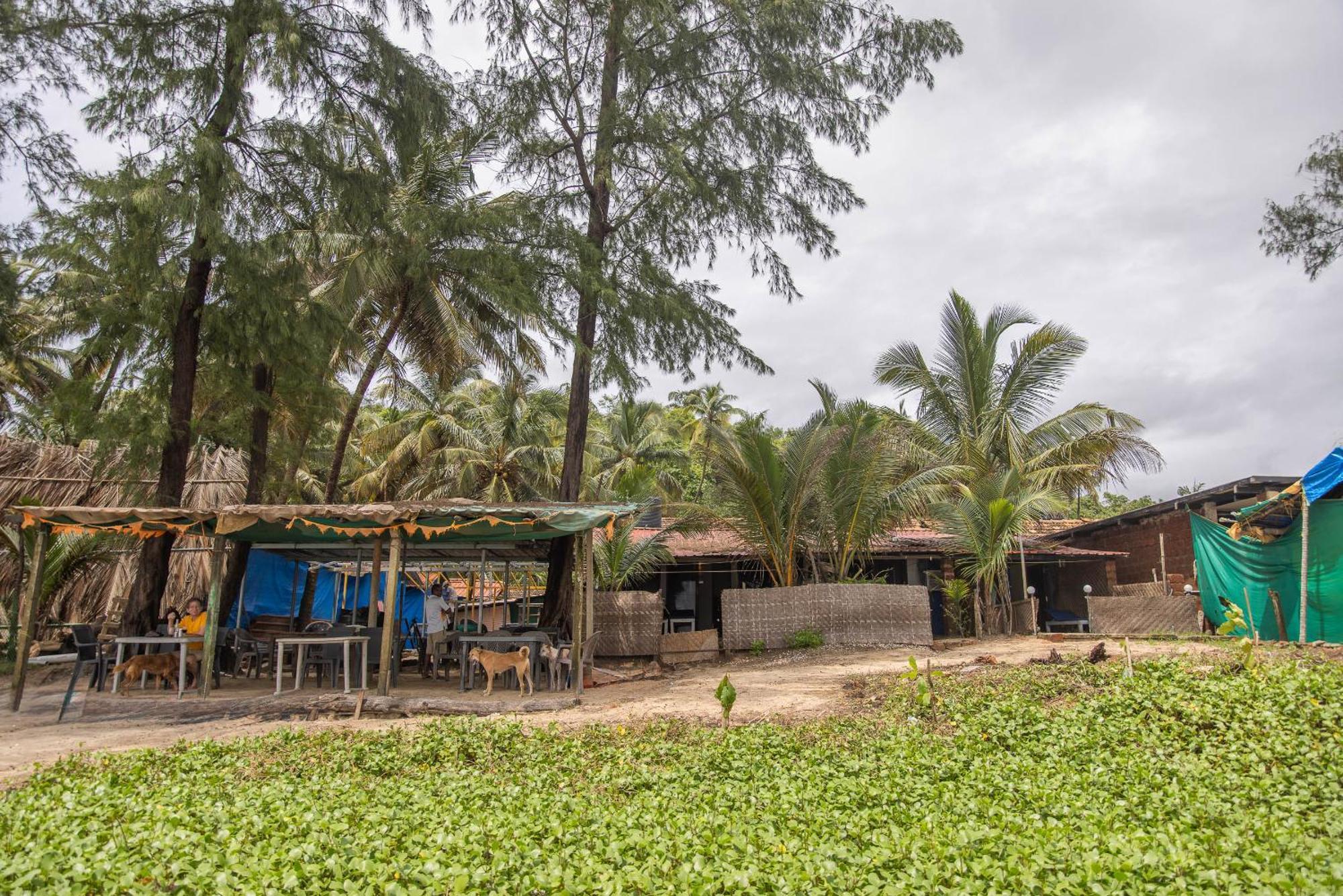 קאנאקונה Talpona Beach Studios מראה חיצוני תמונה